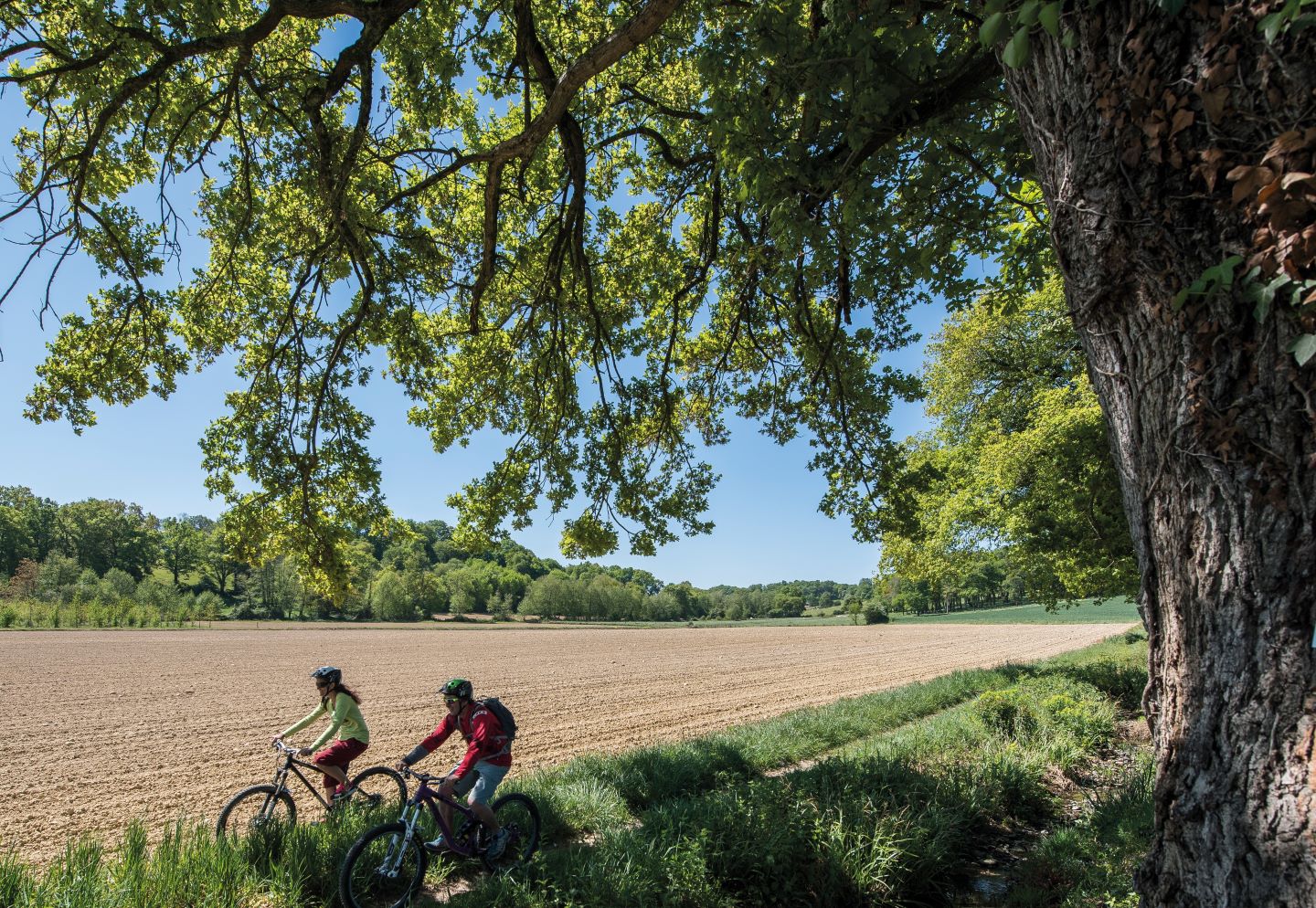 Arzacq-Arraziguet : de la bastide à la forêt à VTT