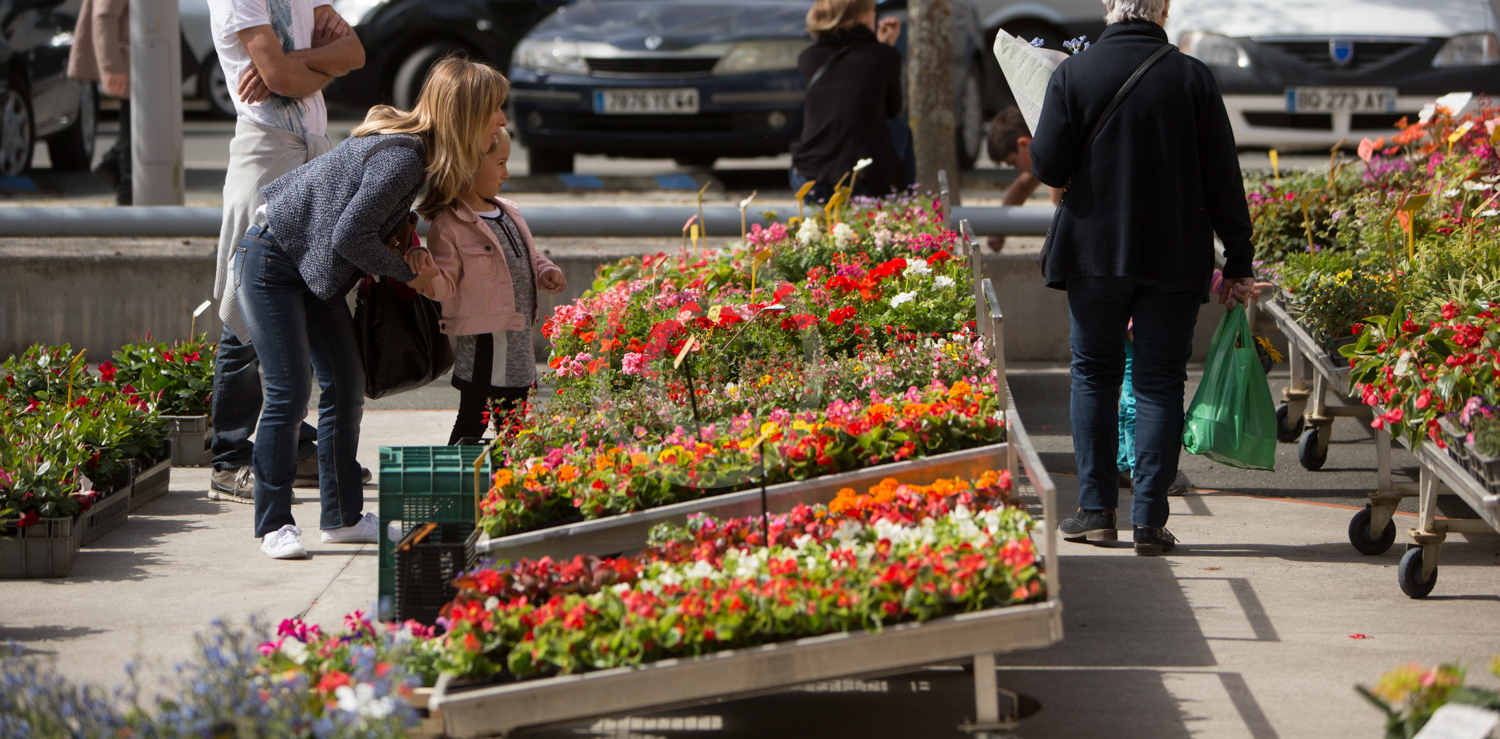 Marché traditionnel (2/2)