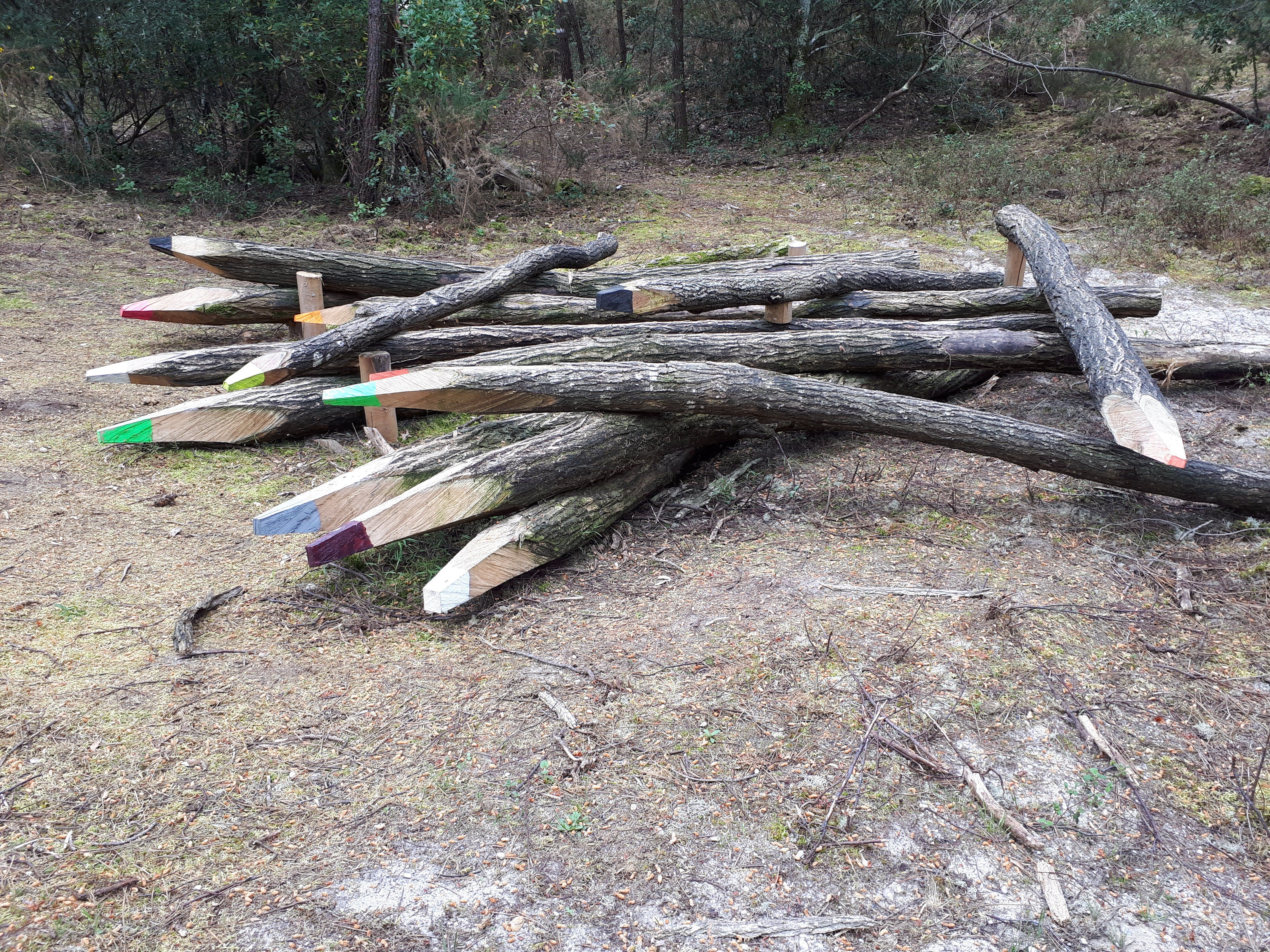 Le sentier du Lac à Maubuisson