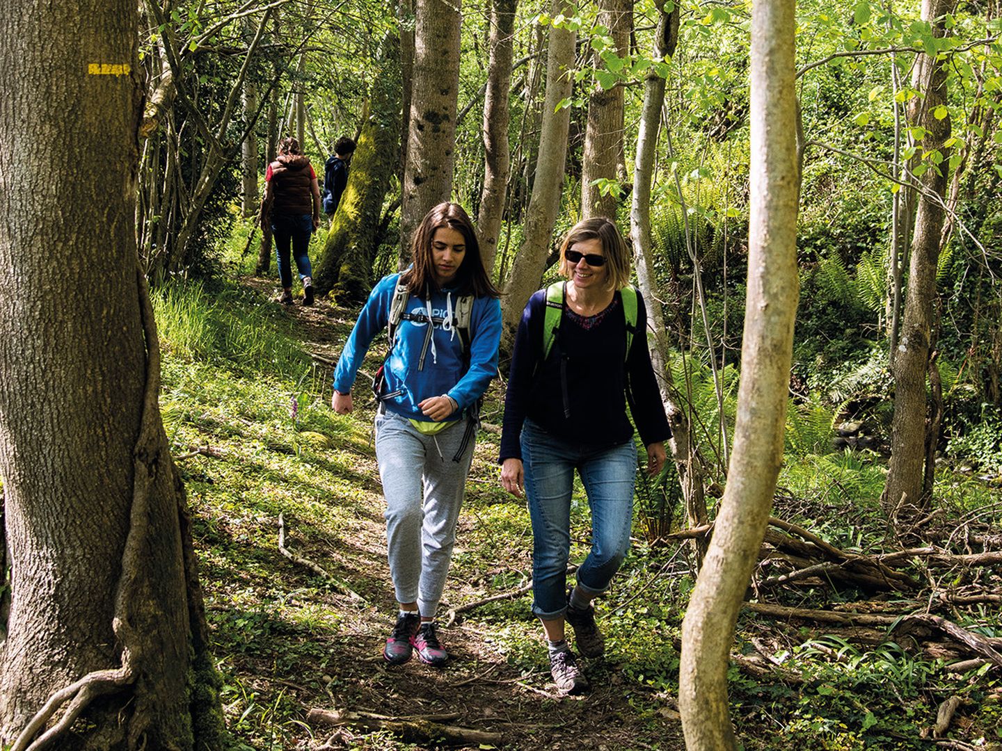 Ouillon : chemin des bergers