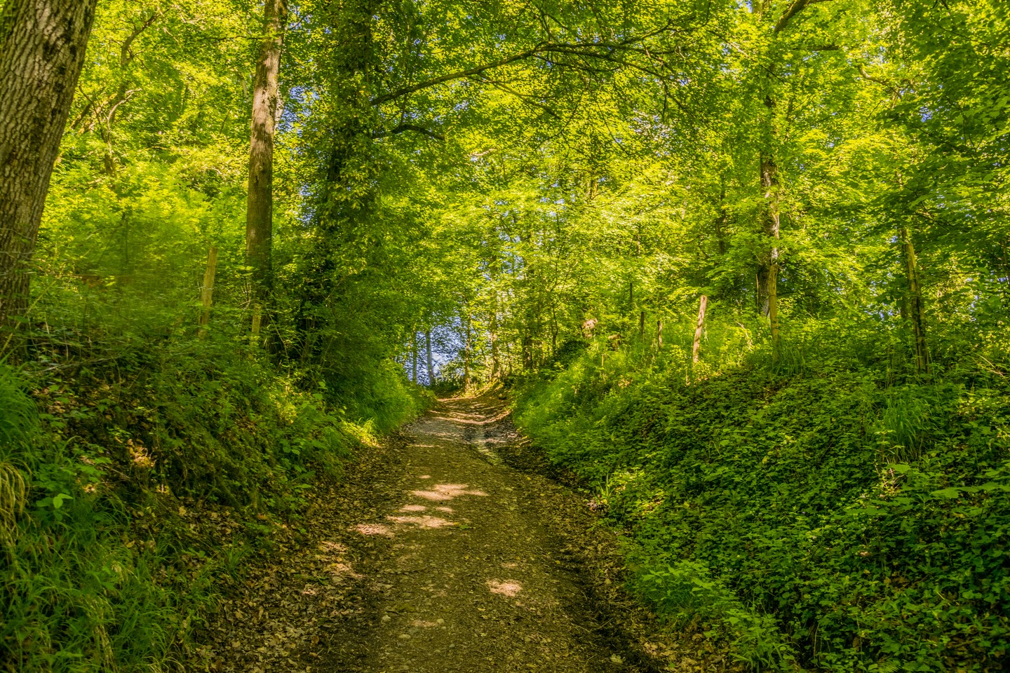 Arbus - Le Cap D’Arrandes