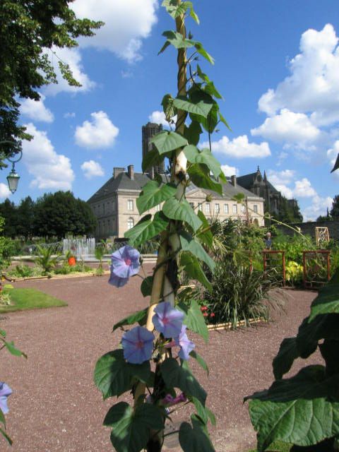 Parc et jardins de l'Evêché null France null null null null