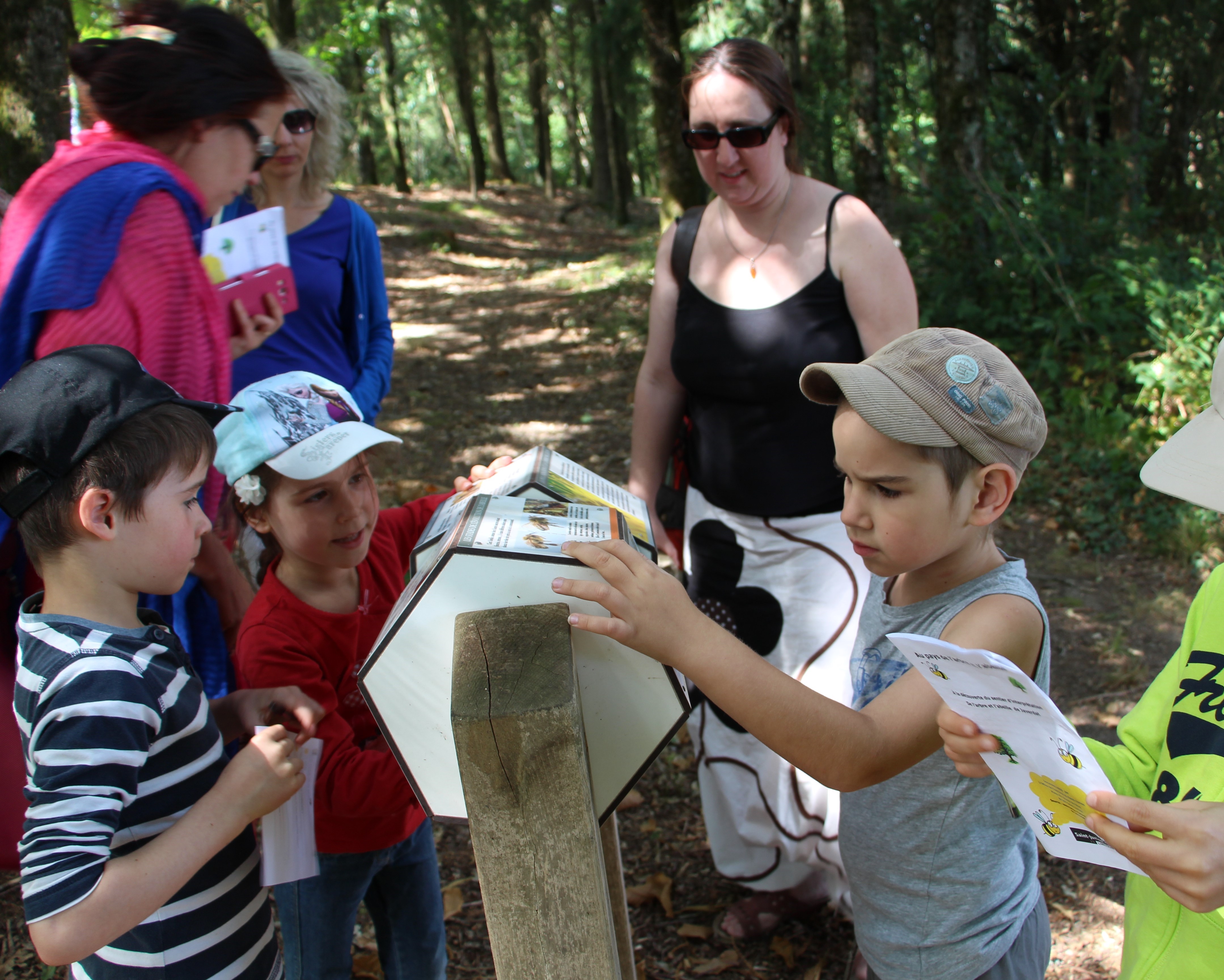 Le sentier de l'arbre et de l'abeille