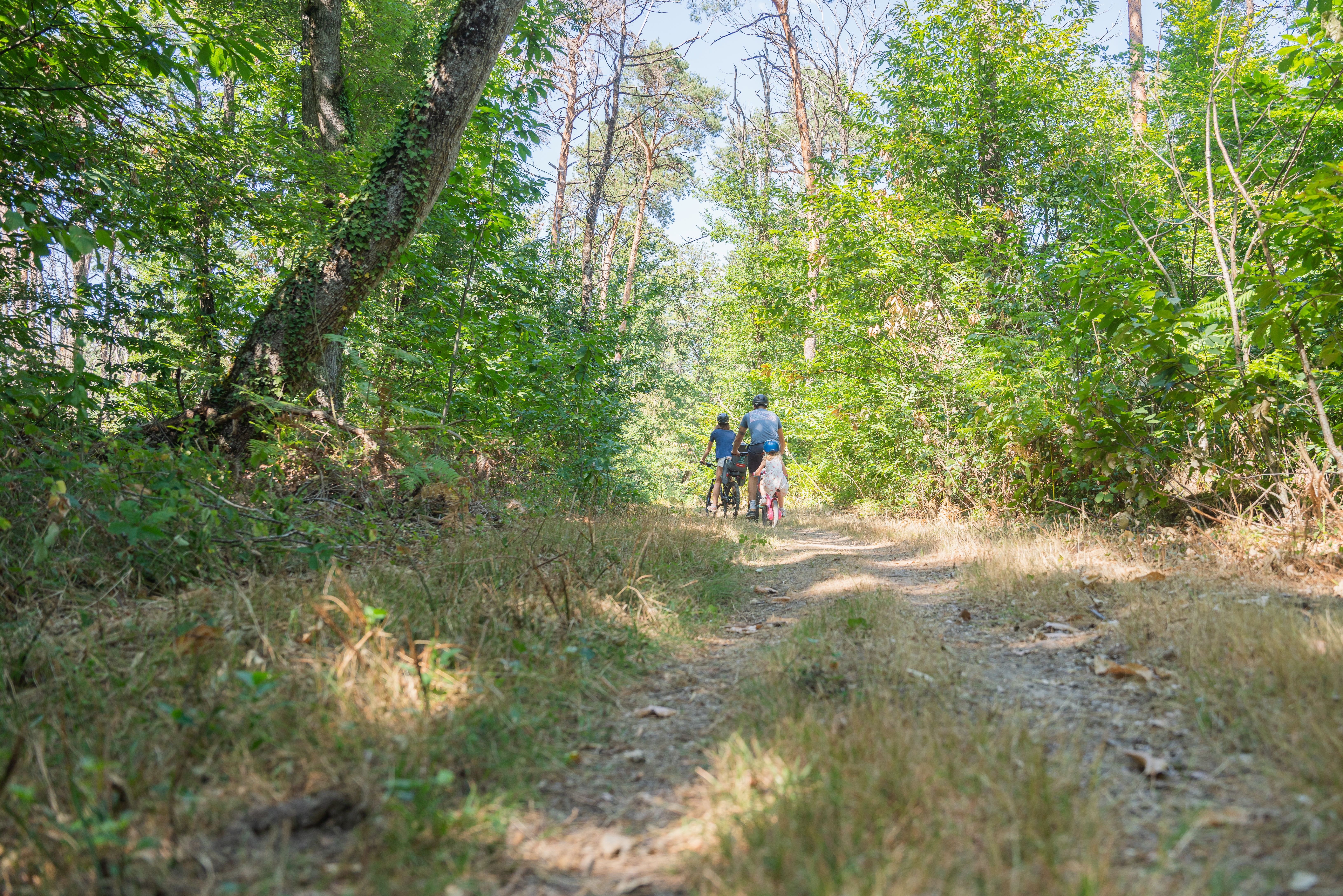Sur les Pas d'André Theuriet