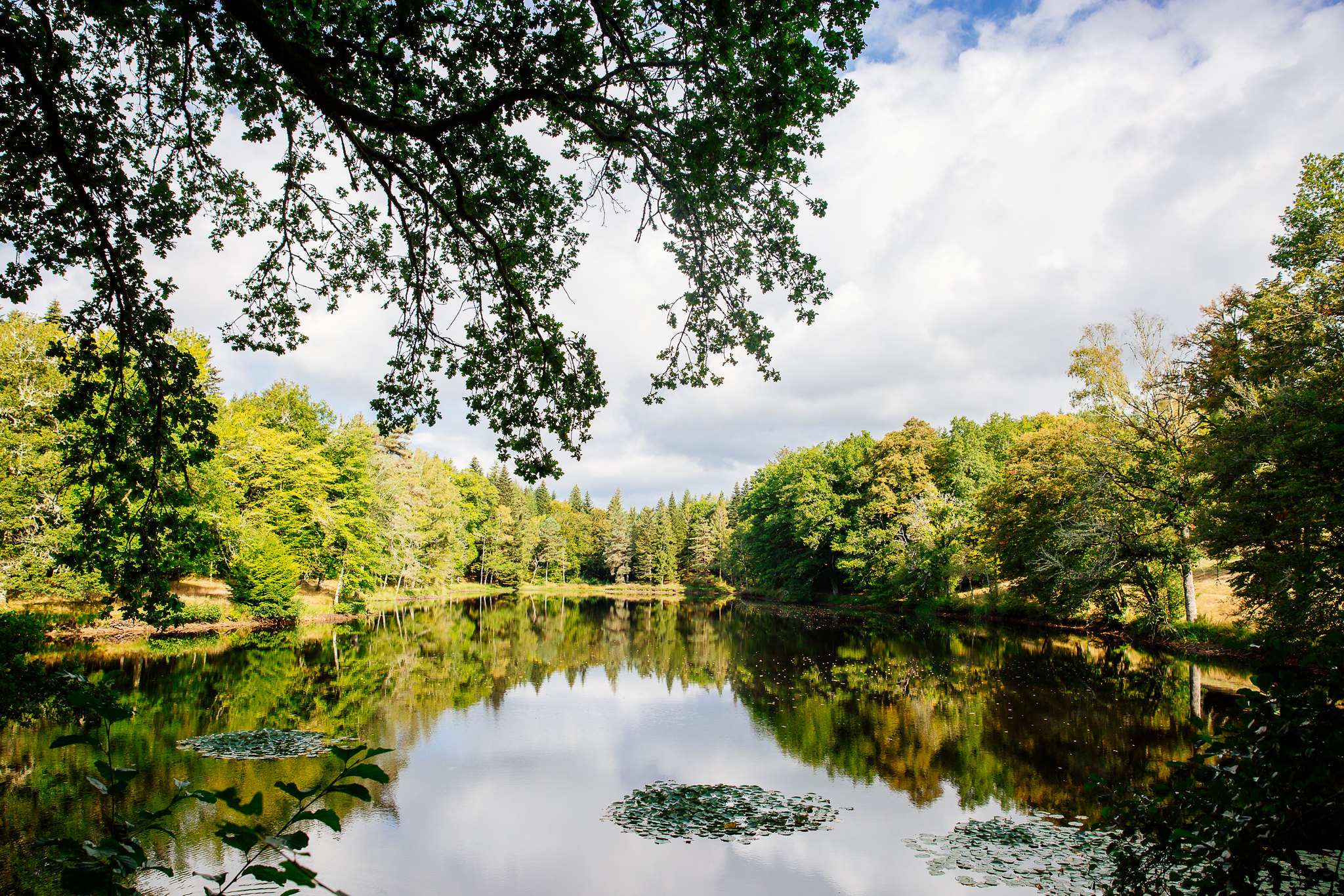 Circuit n°7 - Chemins des 3 Corrèzes