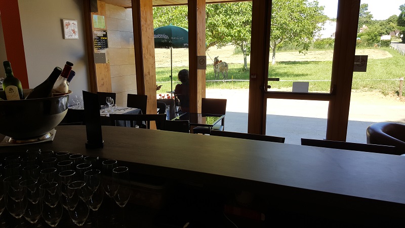 Aux Avisés par Cat & Sly