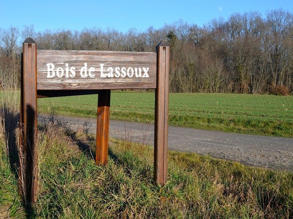Aire de pique-nique dans le Bois de Lassoux null France null null null null