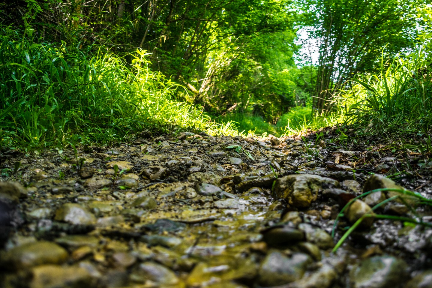 Laroin - Boucle du Couday