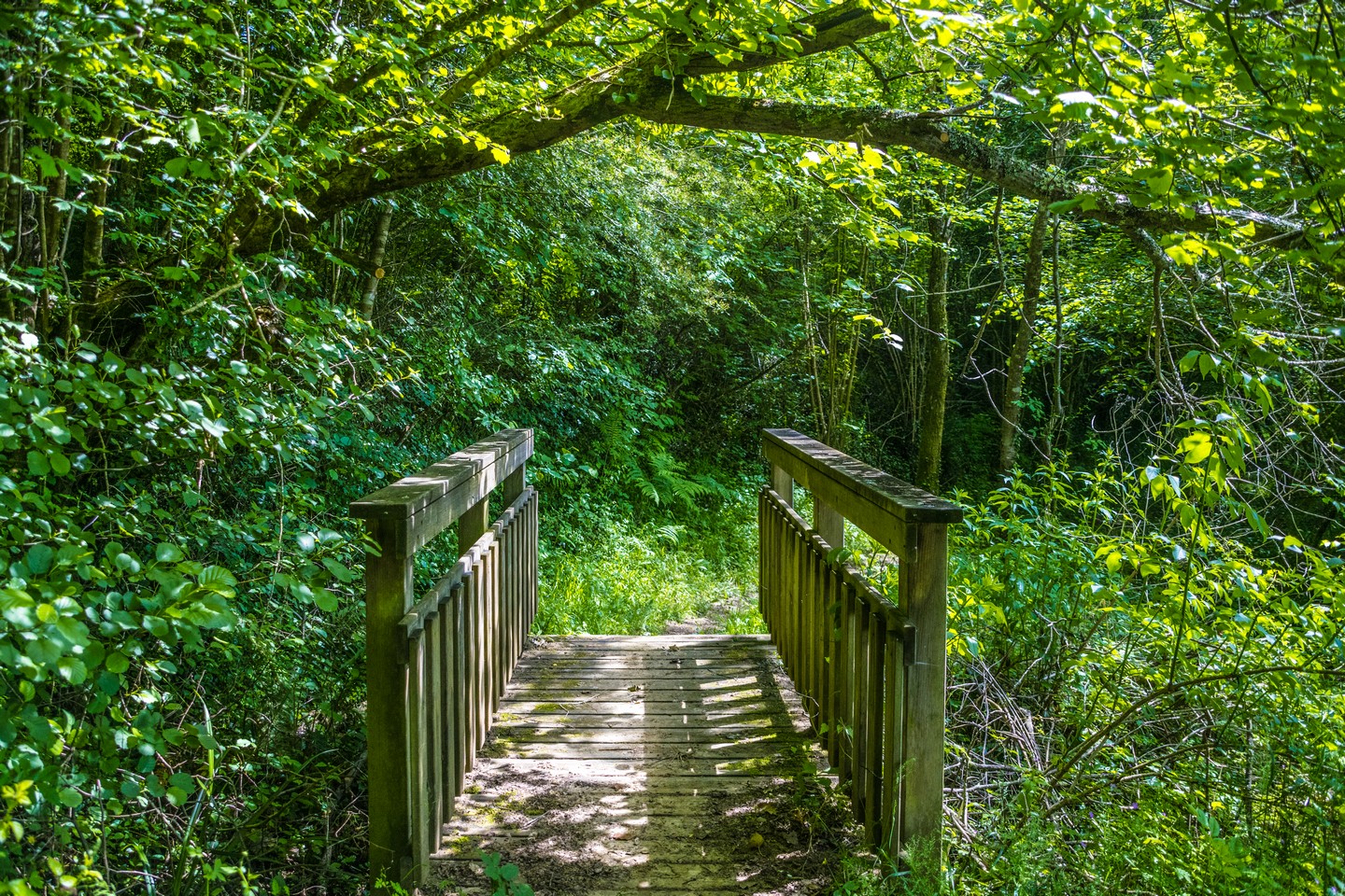 Saint-Faust - Vallée de la Juscle