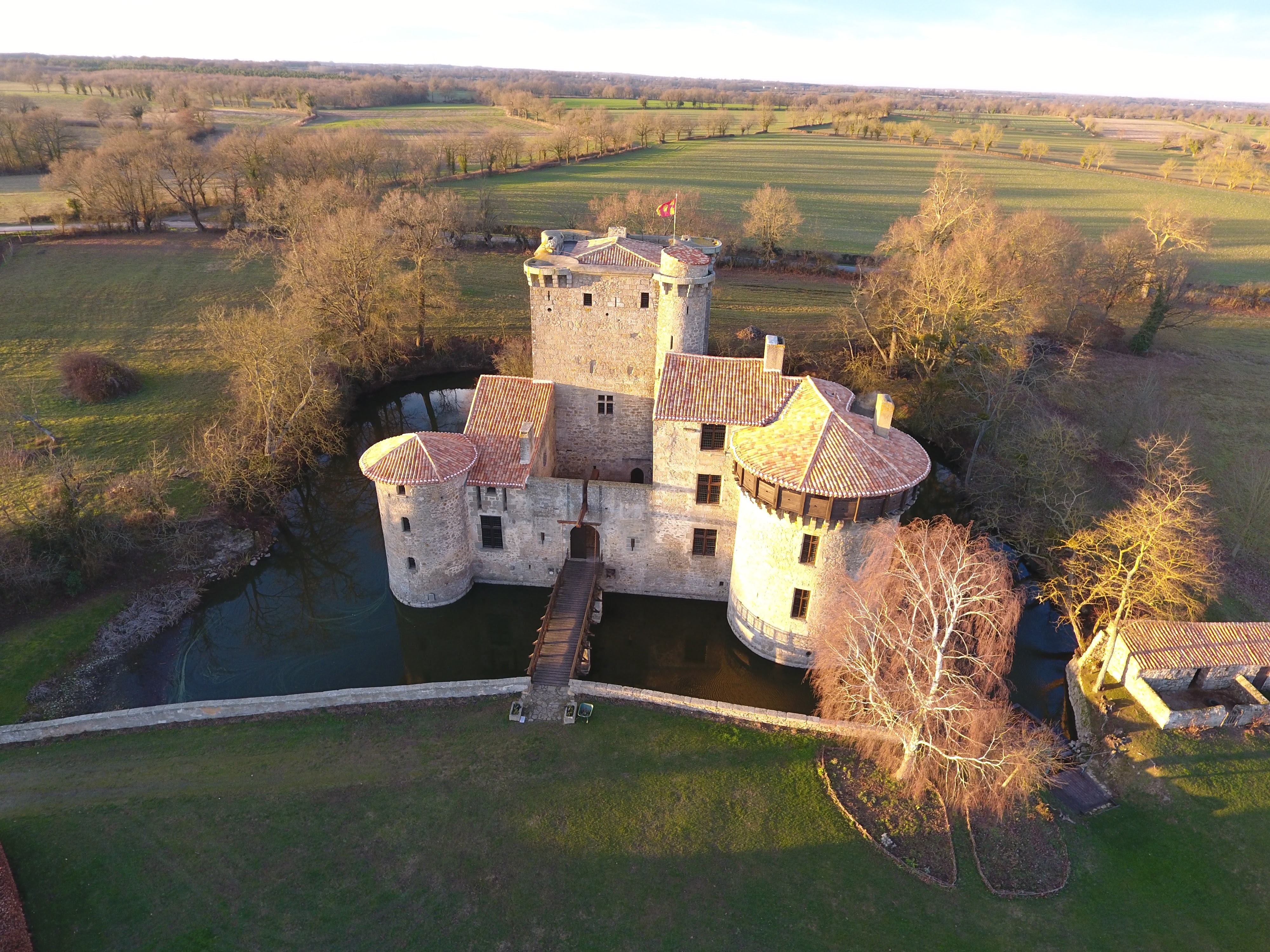 Château de Tennessus  France Nouvelle-Aquitaine Deux-Sèvres Amailloux 79350