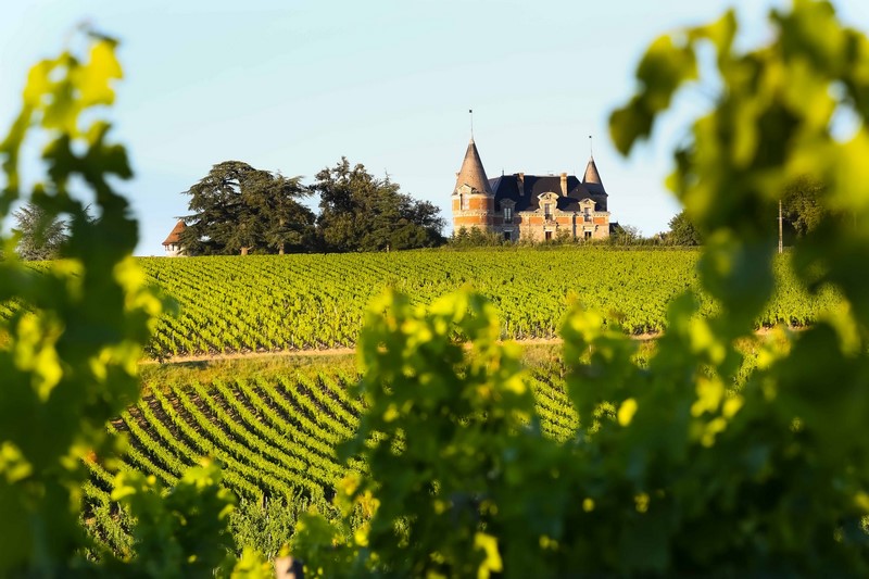 Boucle moyenne au coeur du vignoble de Sauternes