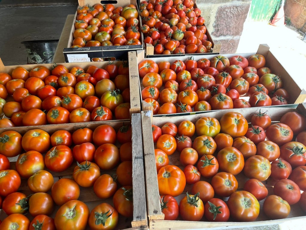 La Ferme de Brossard - Maison de la Châtaigne - photo 3