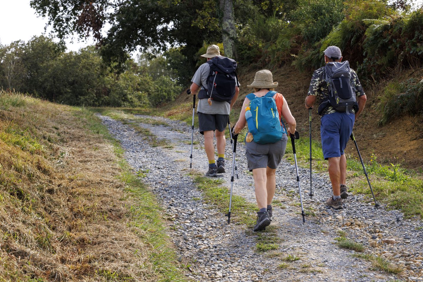 Arzacq-Arraziguet : de la bastide à la forêt