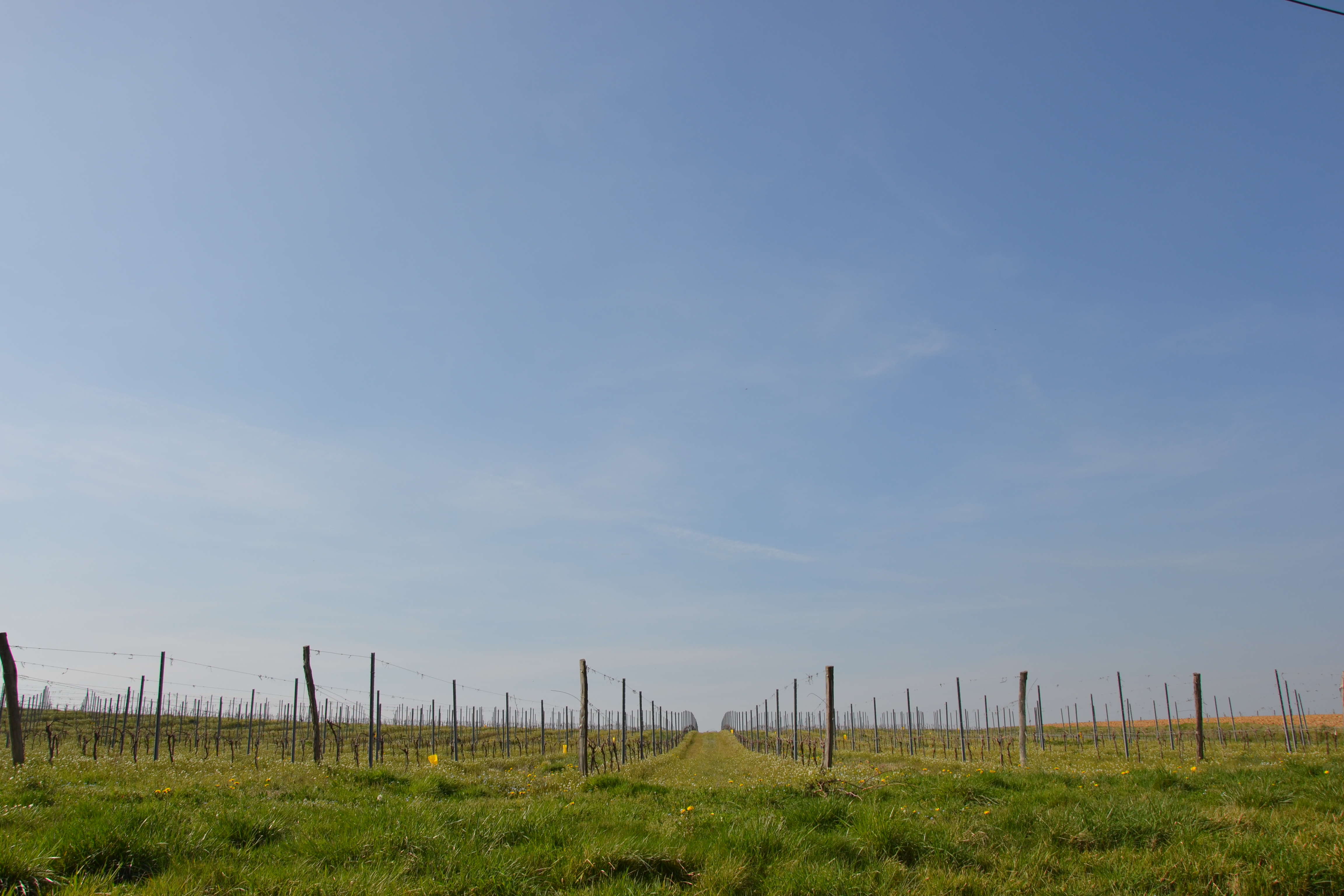 Boucle locale des Châteaux