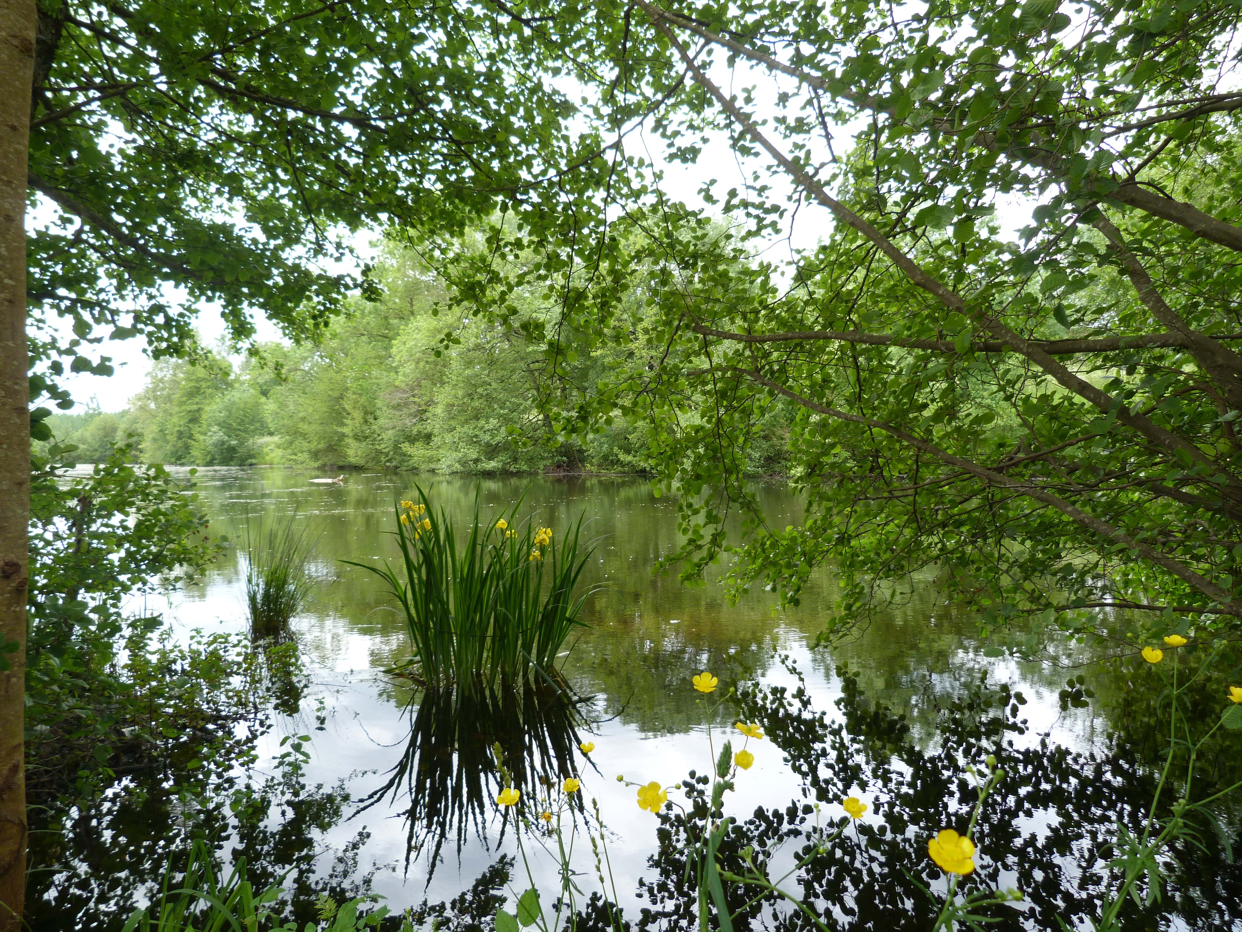 Au fil de l’Eau, Barsac - photo 3