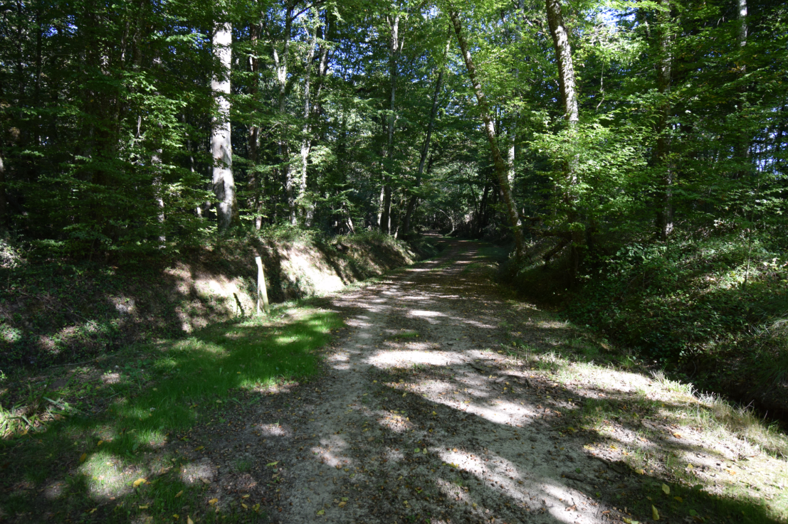 Boucle de la Soulège à Saint-Quentin-de-Caplong