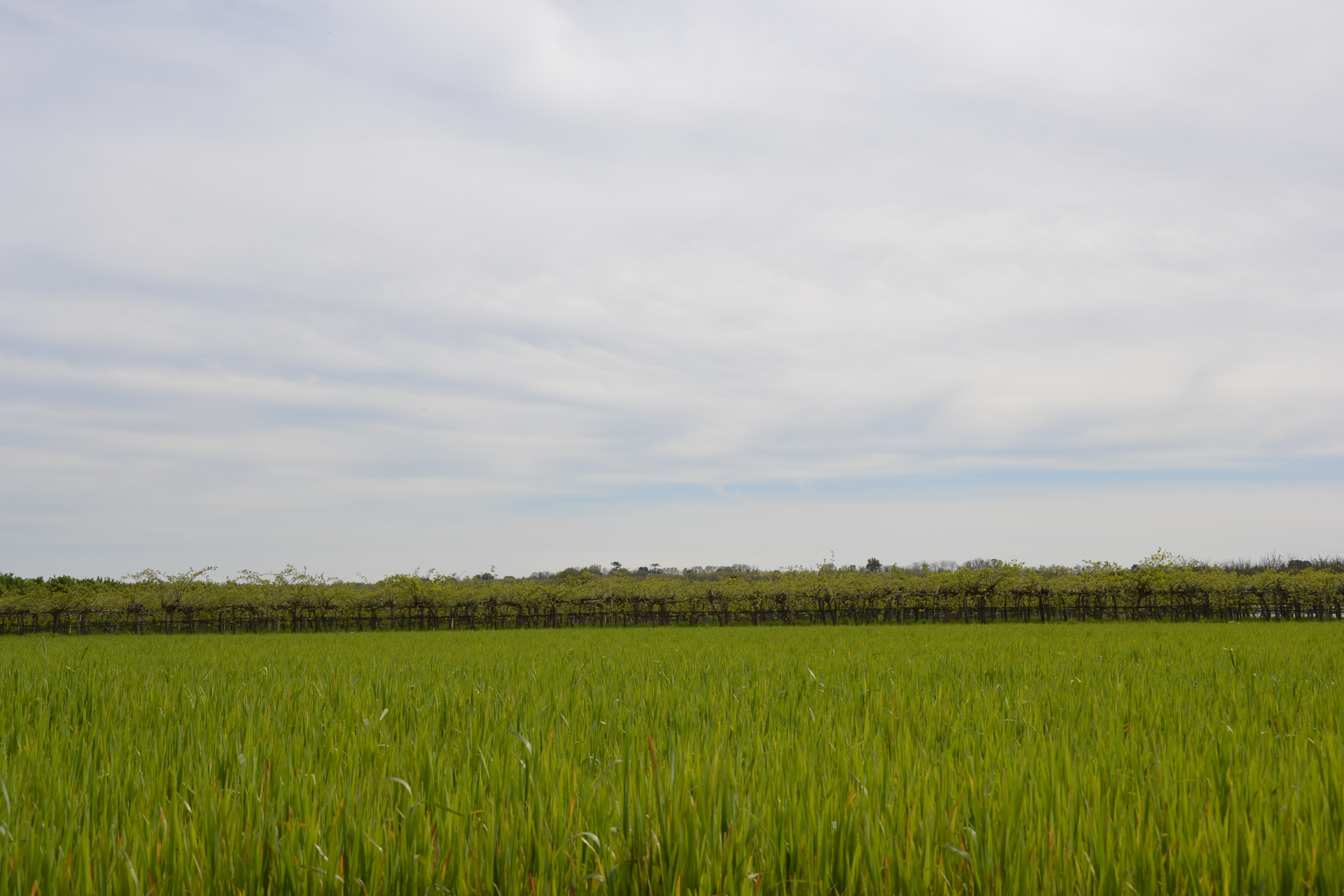 Boucle de l'Imbarradys