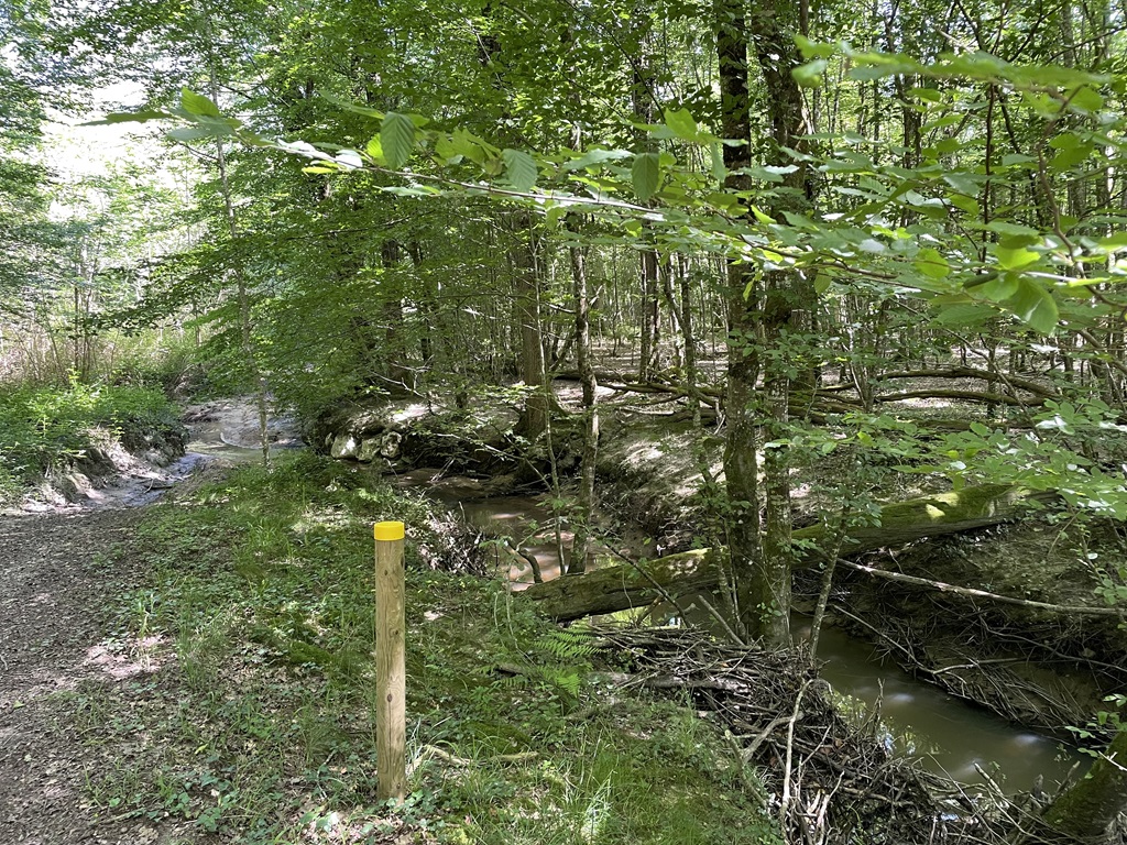 Boucle La Salvatorienne St Sauveur Lalande