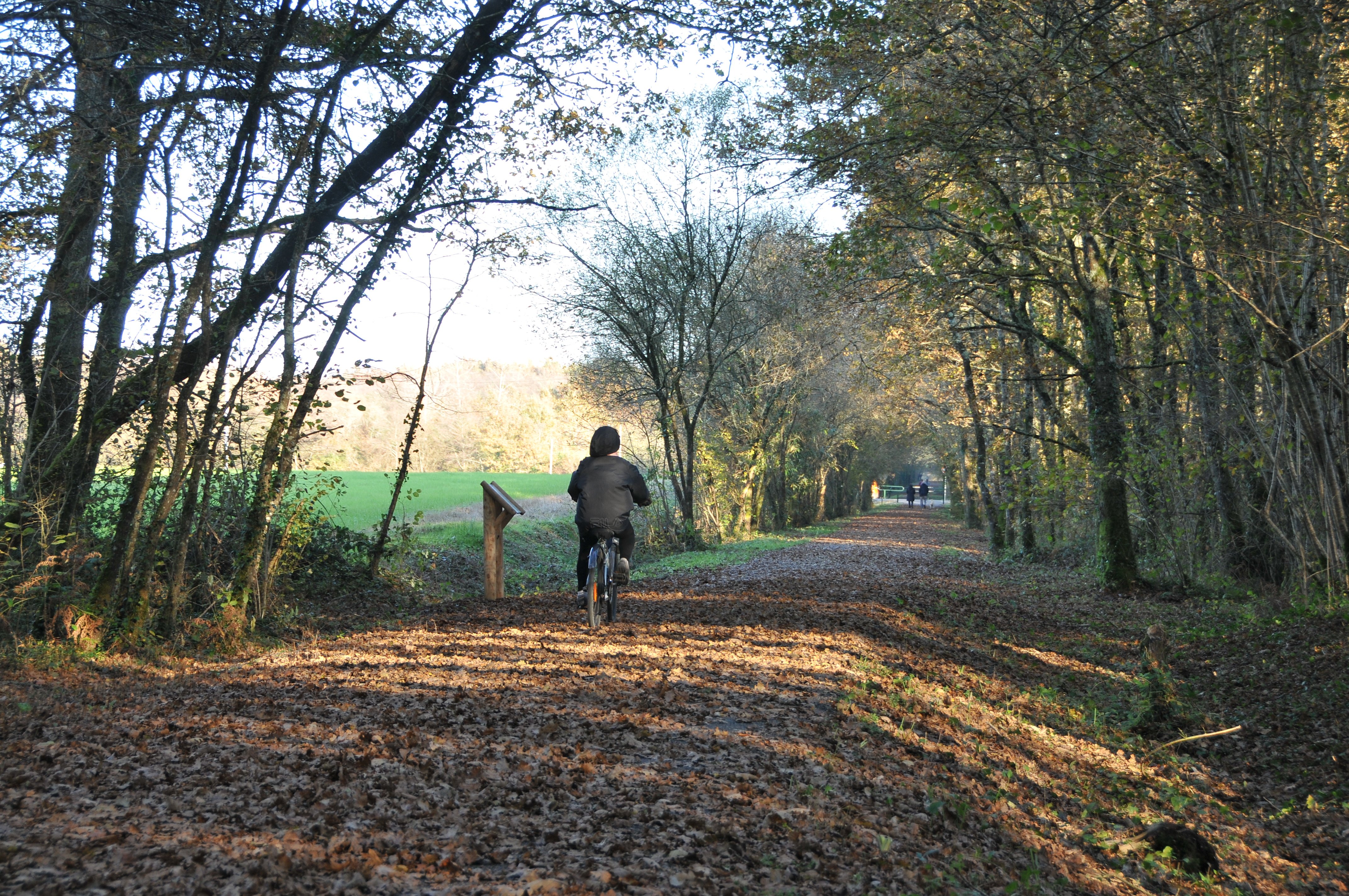 La Voie Verte de Salies-de-Béarn à Escos