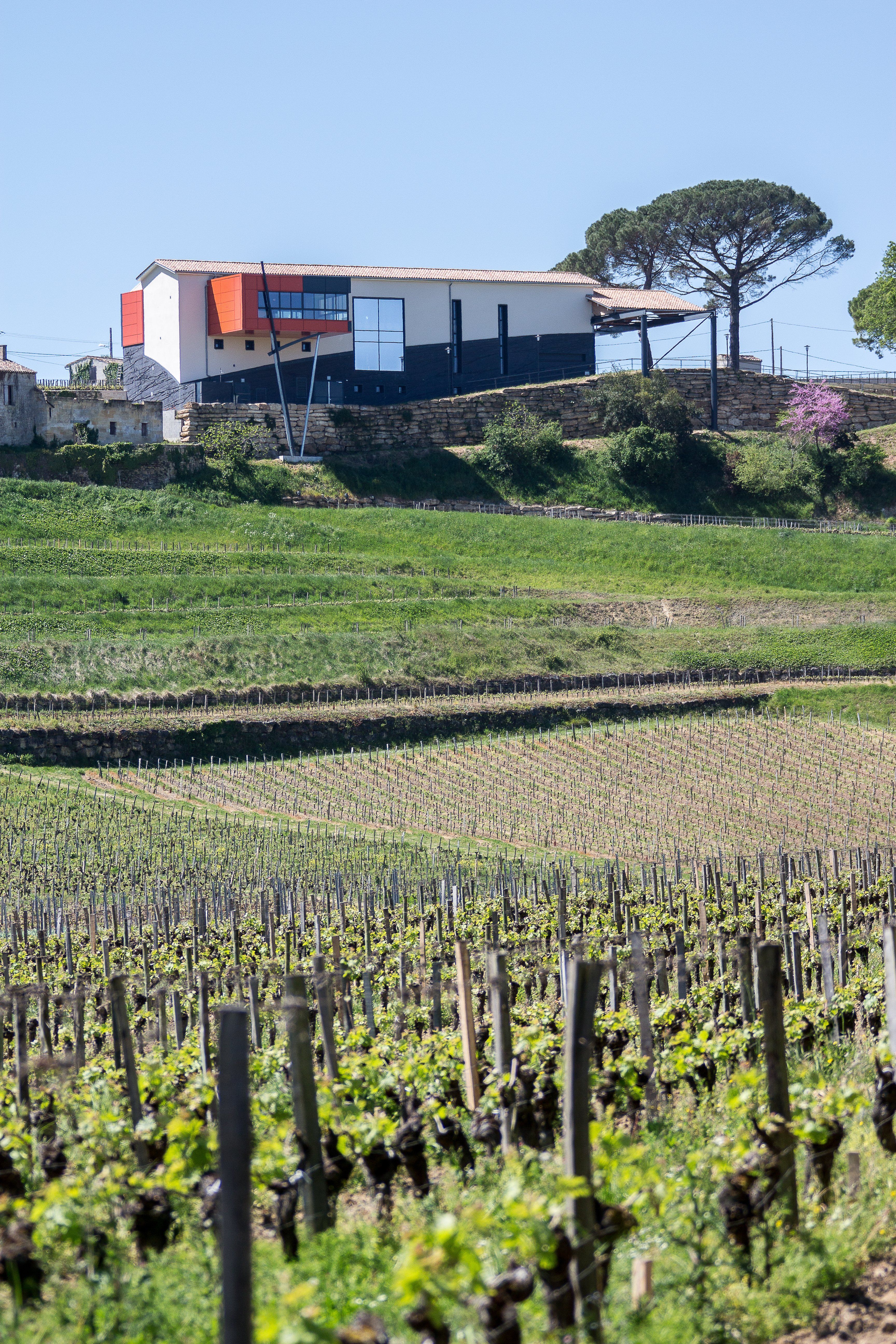 Boucle pédestre : Entre combes et coteaux - paysages UNESCO