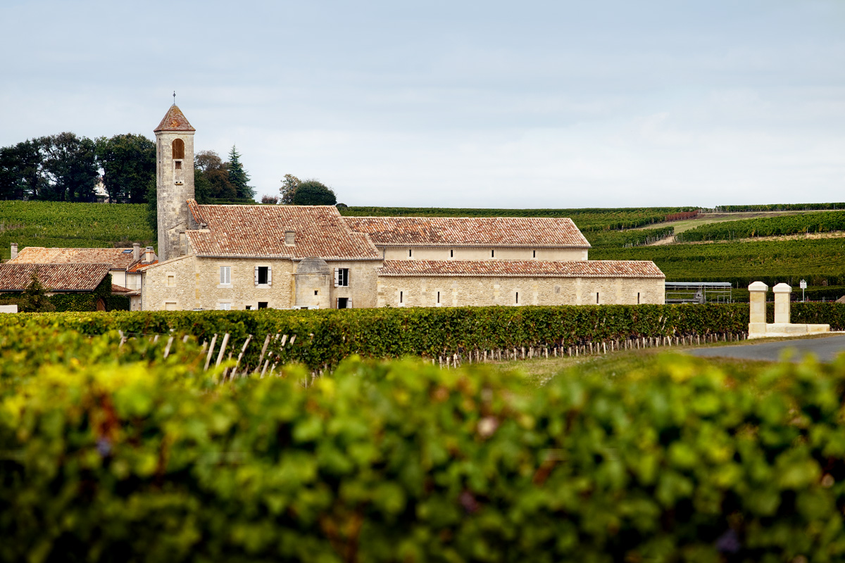 Boucle vélo : La route des vins en famille