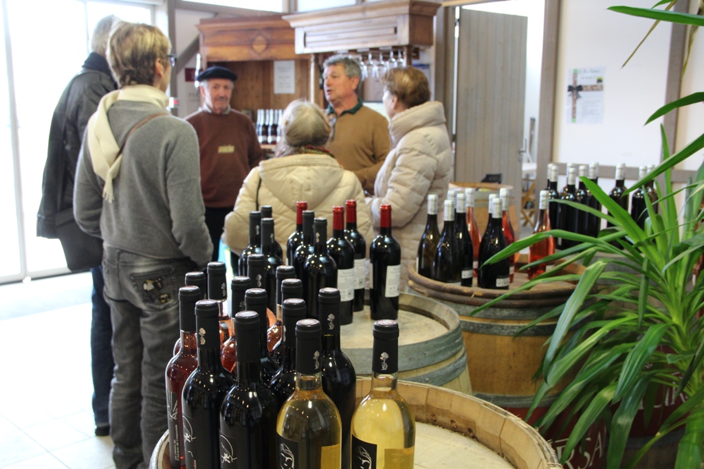 Trésor Gourmand : Dégustation dans les vignes