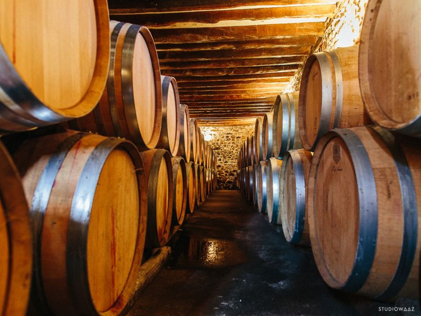 Vernissage de l'exposition photo "Mendia"