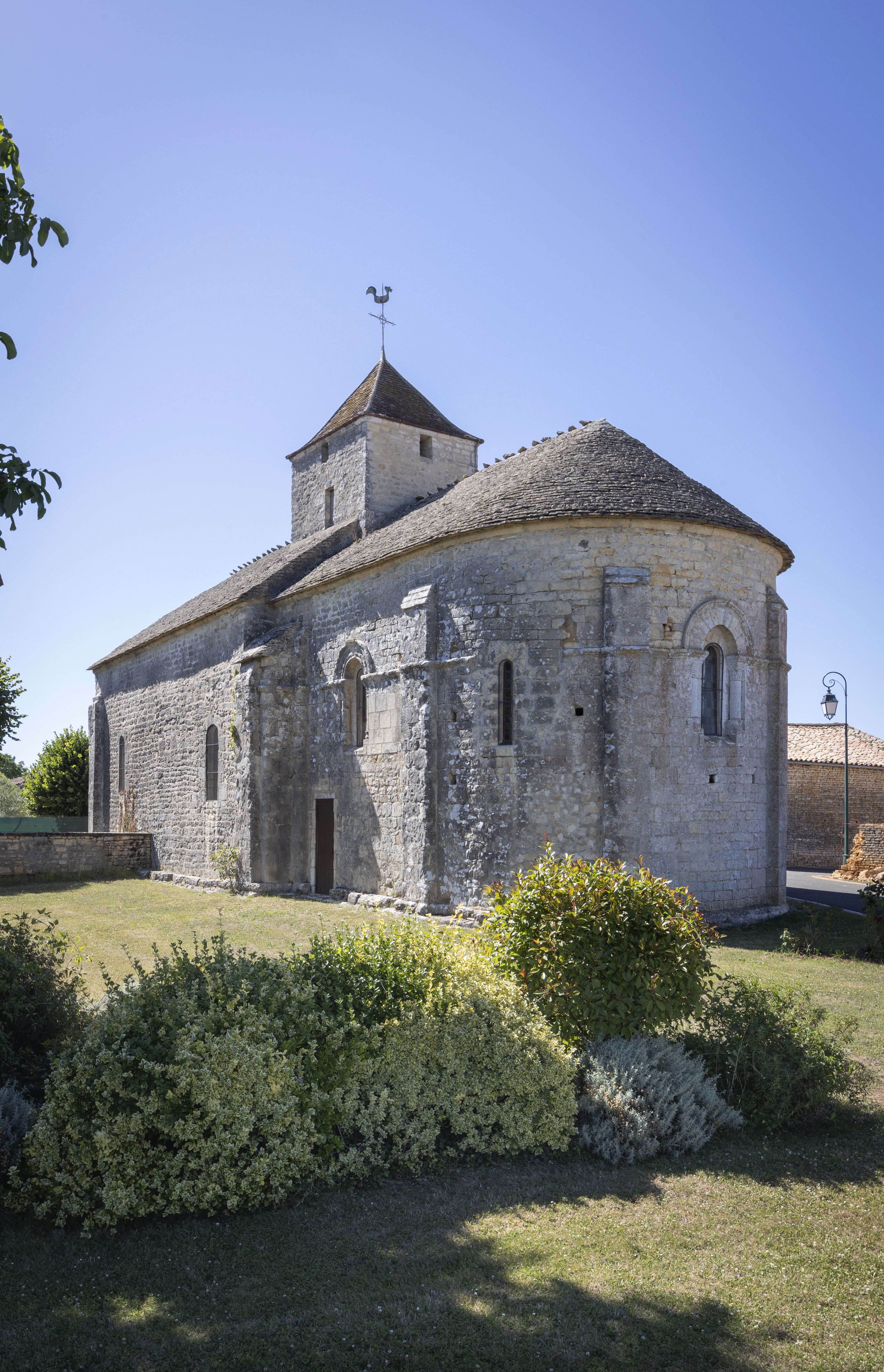 Serinettes et châtaigniers