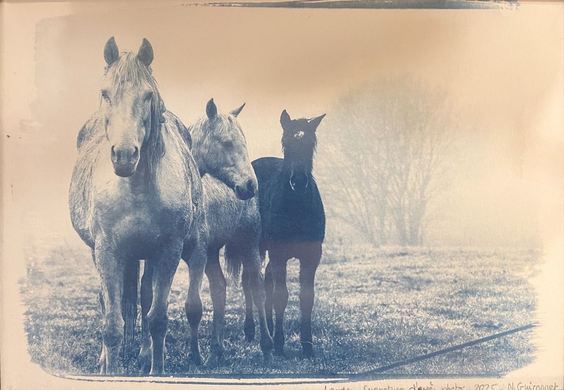 Zoom Expo | Expo photo Nathalie Guironnet