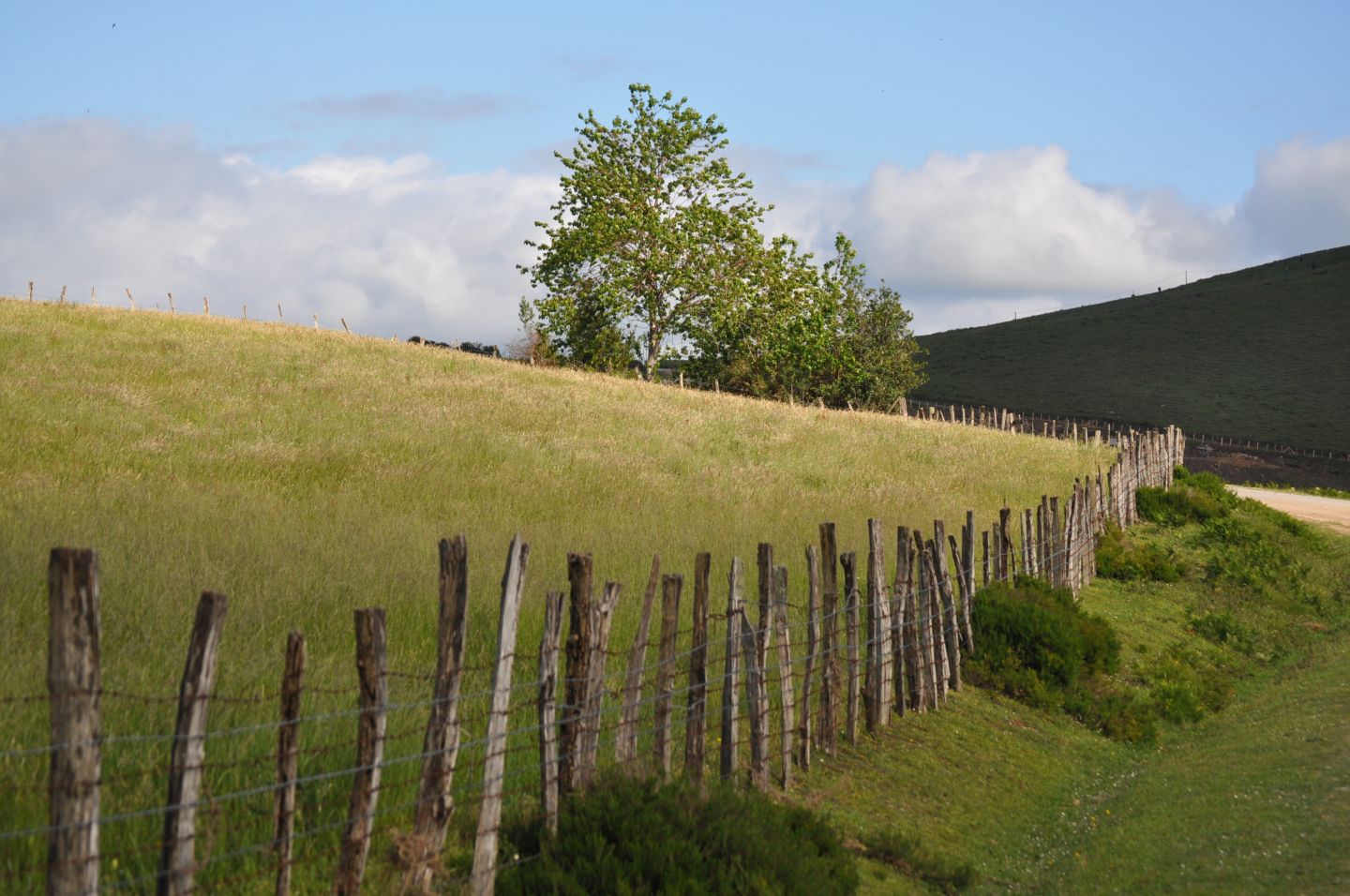Suhalmendi : à la découverte du porc basque