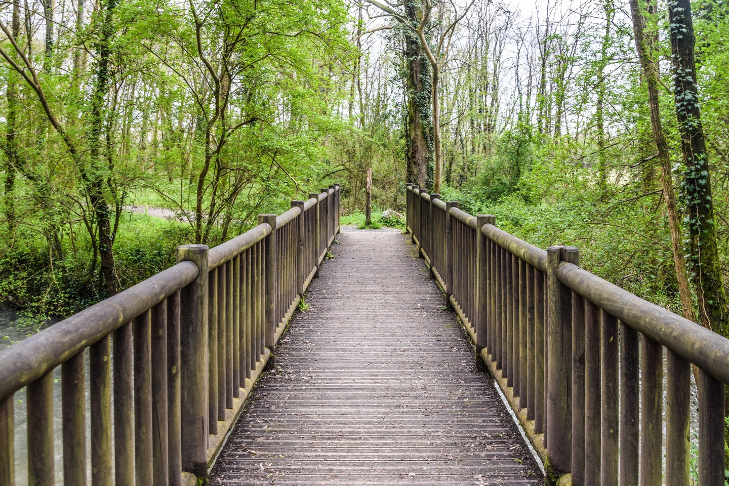 Lescar - Cité et nature