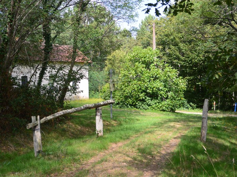 Sentier du Petit Poucet à Beaupouyet  France Nouvelle-Aquitaine Dordogne Beaupouyet 24400