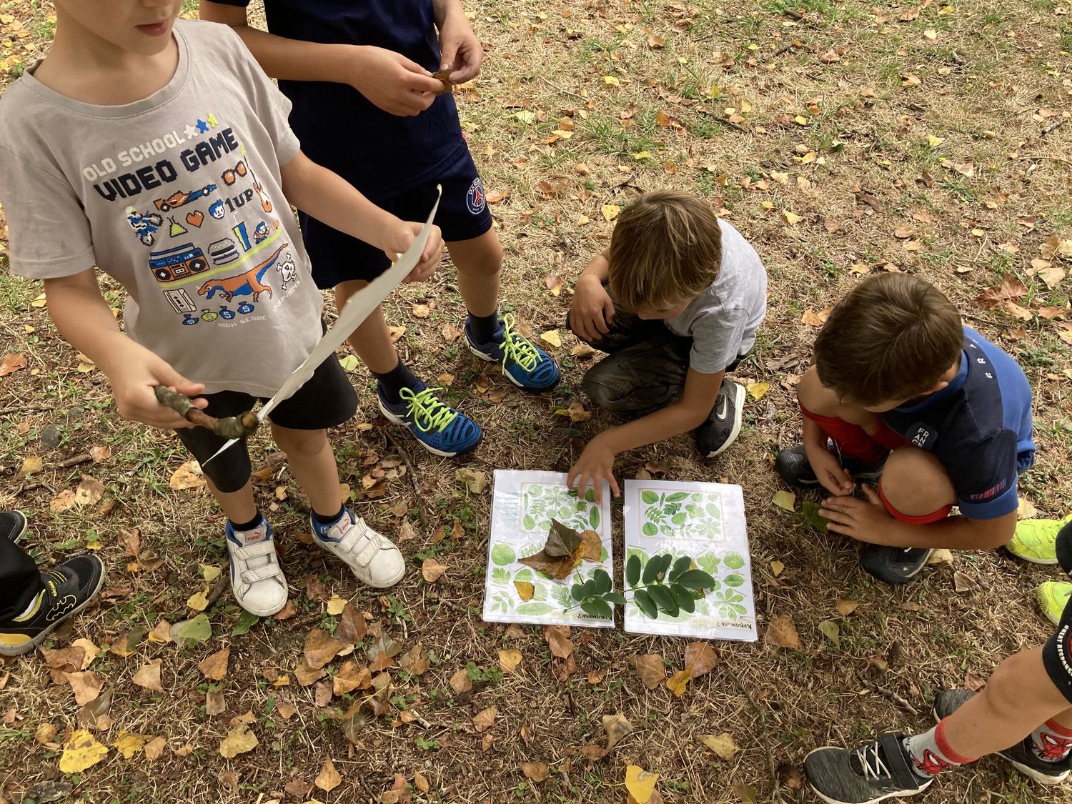 Balade nature en famille