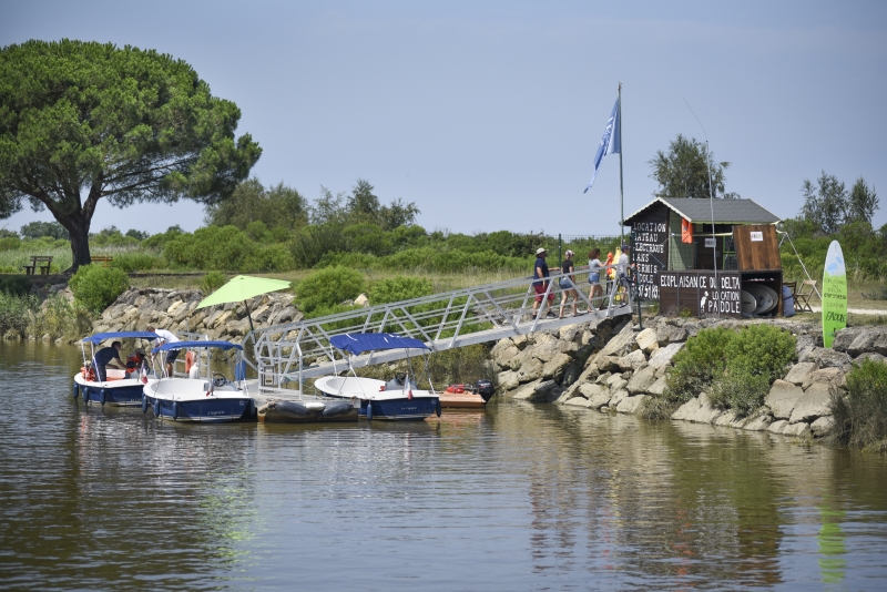 Promenade privatisée avec guide en bateau électrique  France Nouvelle-Aquitaine Gironde Le Teich 33470