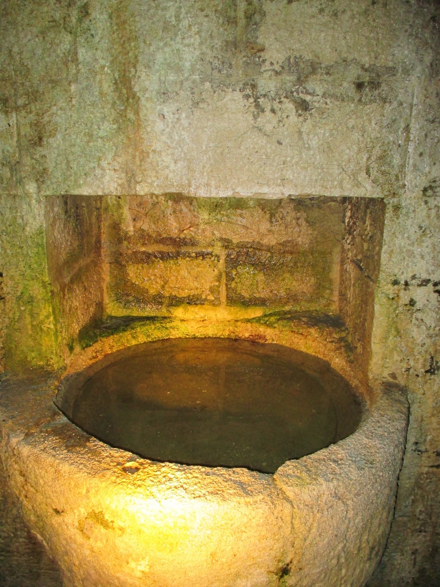 La Crypte du Bayaà  France Nouvelle-Aquitaine Pyrénées-Atlantiques Salies-de-Béarn 64270