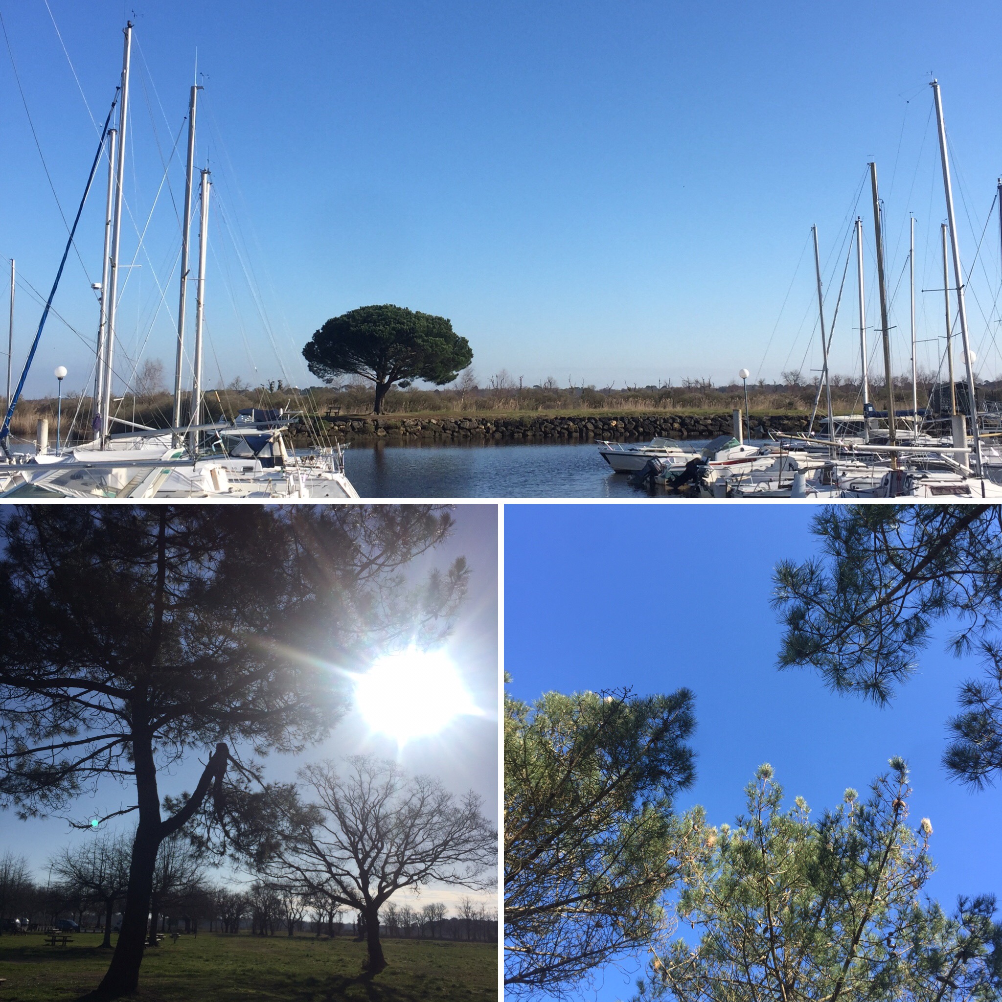 Les Pistes de Robin : un petit écrin de nature