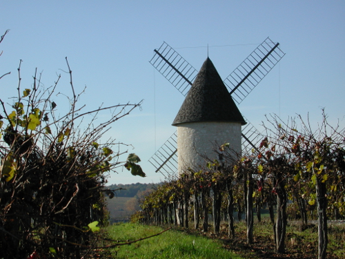 Le Moulin de Marquet, dans les vignes de Villeneuve-de-Duras  France Nouvelle-Aquitaine Lot-et-Garonne Villeneuve-de-Duras 47120