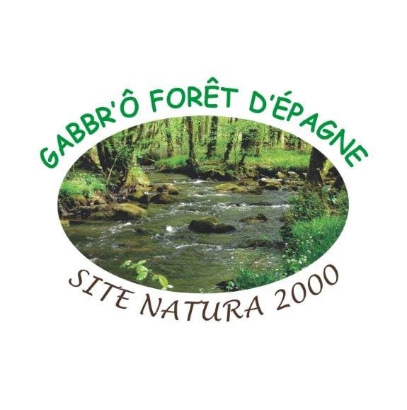 Concours photo 2024 : Jour de pluie dans la forêt d'Epagne null France null null null null