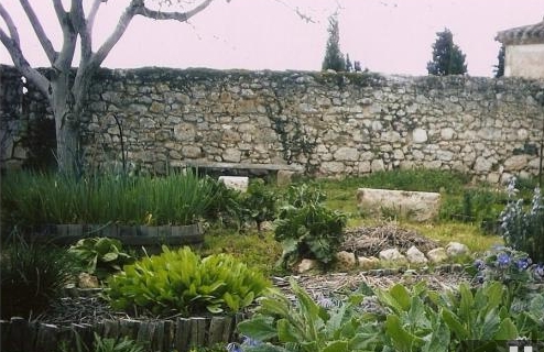 Jardin médiéval Le Buis qui court  France Nouvelle-Aquitaine Lot-et-Garonne Sainte-Colombe-en-Bruilhois 47310