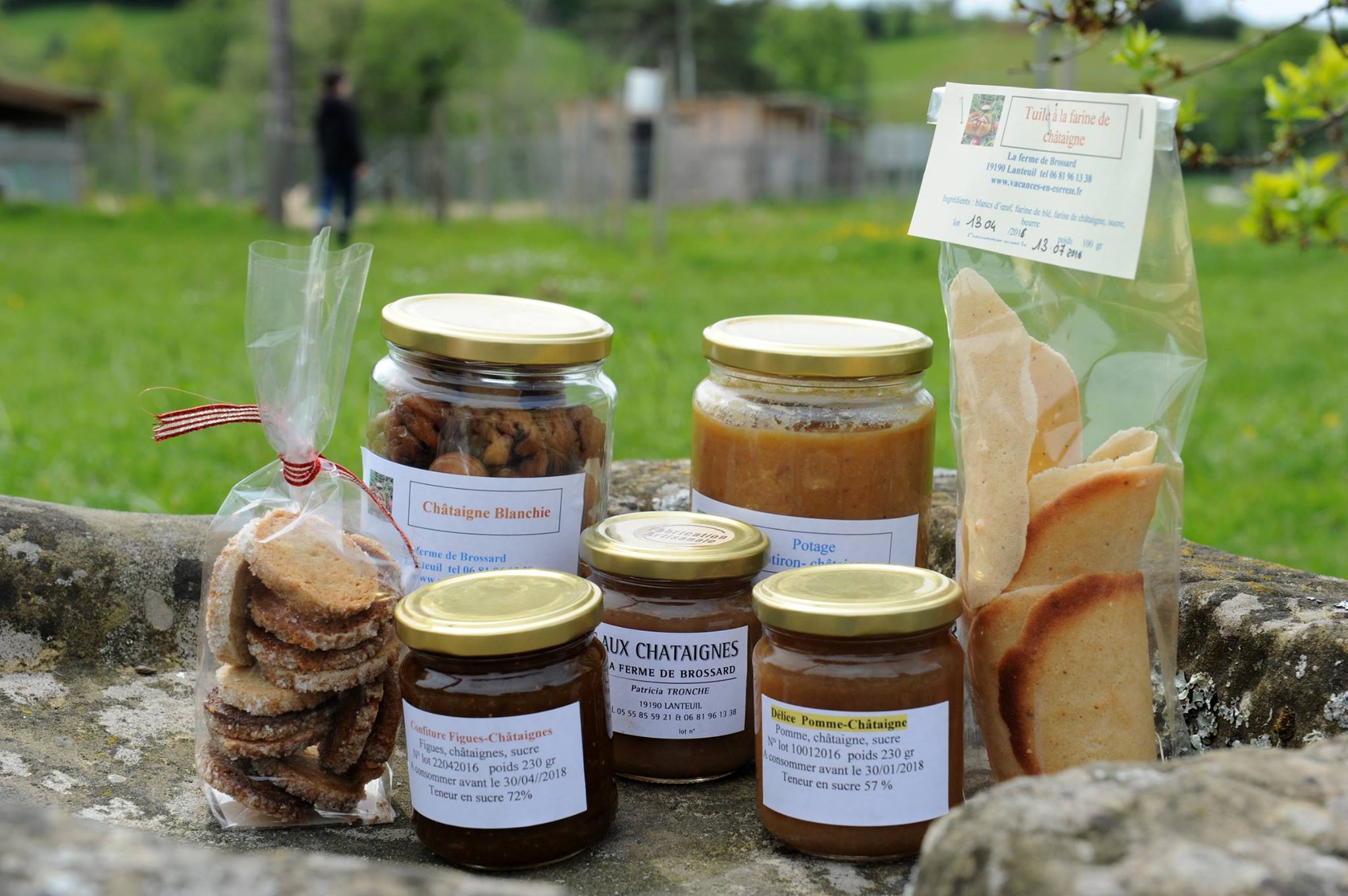 La Ferme de Brossard - Maison de la Châtaigne - photo 2