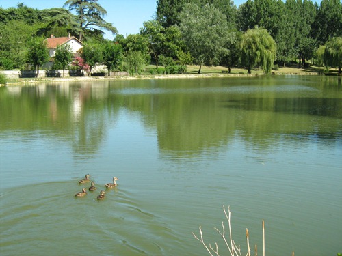 Aire de camping-cars de Lauzun  France Nouvelle-Aquitaine Lot-et-Garonne Lauzun 47410