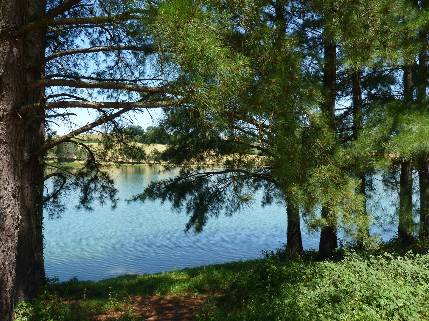 Serres-Castet : du collège au lac