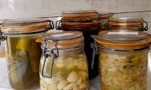 Atelier - Lacto-fermentation null France null null null null