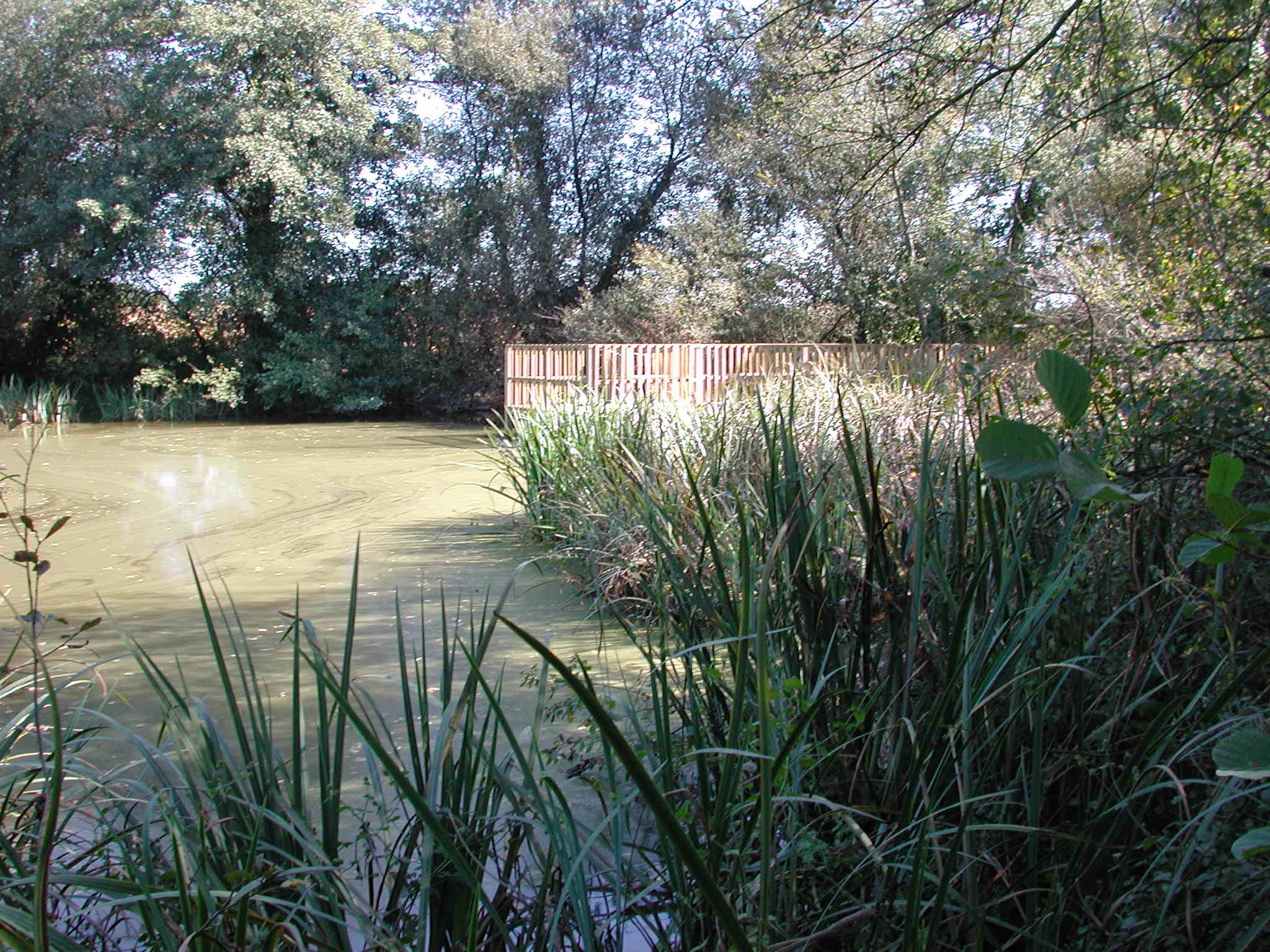 Les Berges de l'Arlas