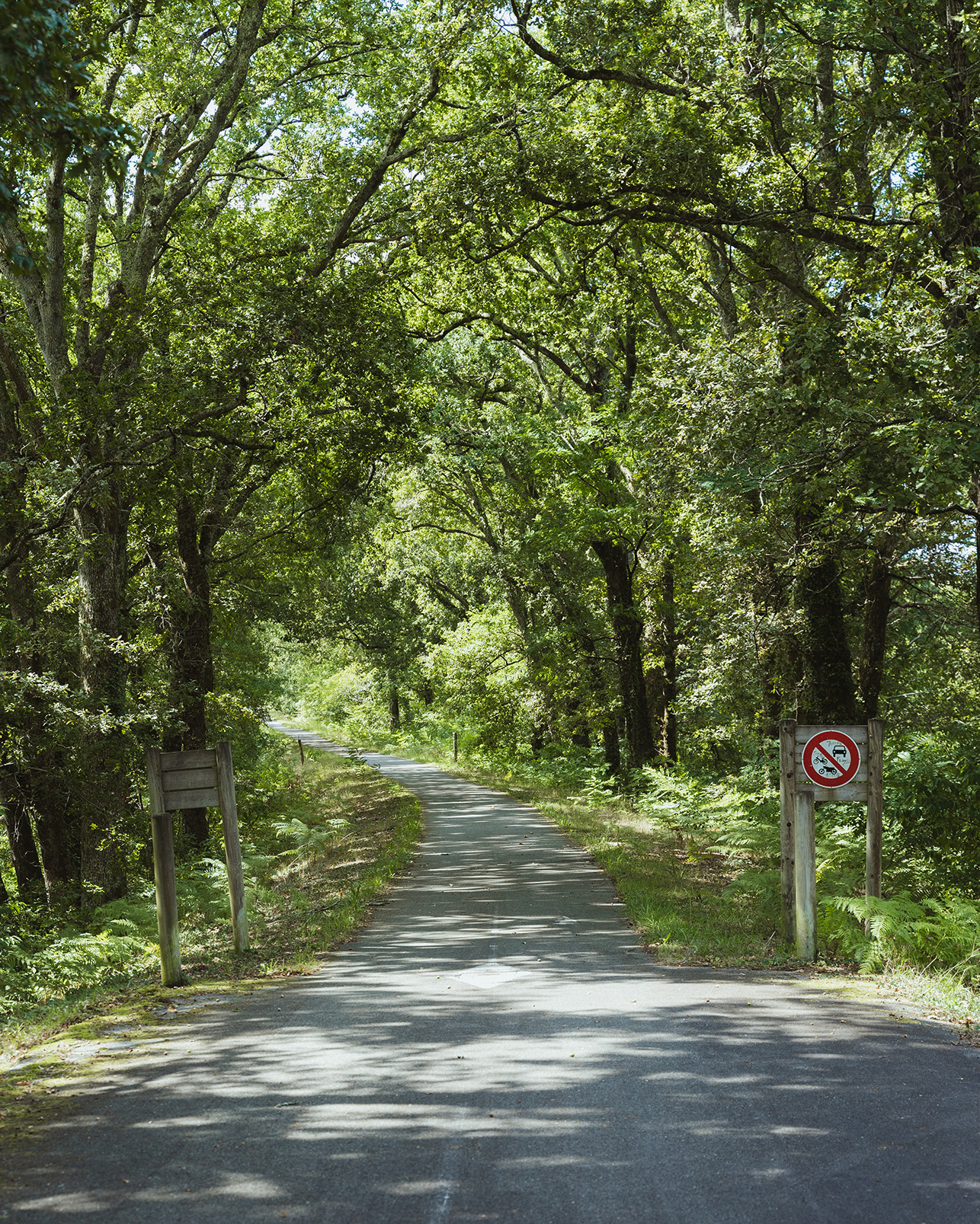 Piste cyclable du Cap de l'Homy / Piste Cyclable du Vignac