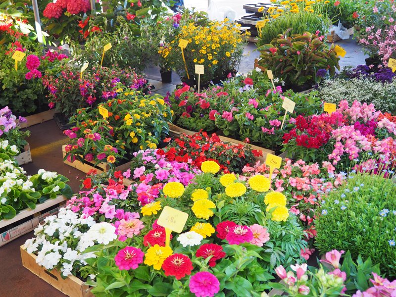 Marché traditionnel (2/2)