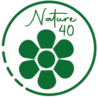 Les libellules des lagunes