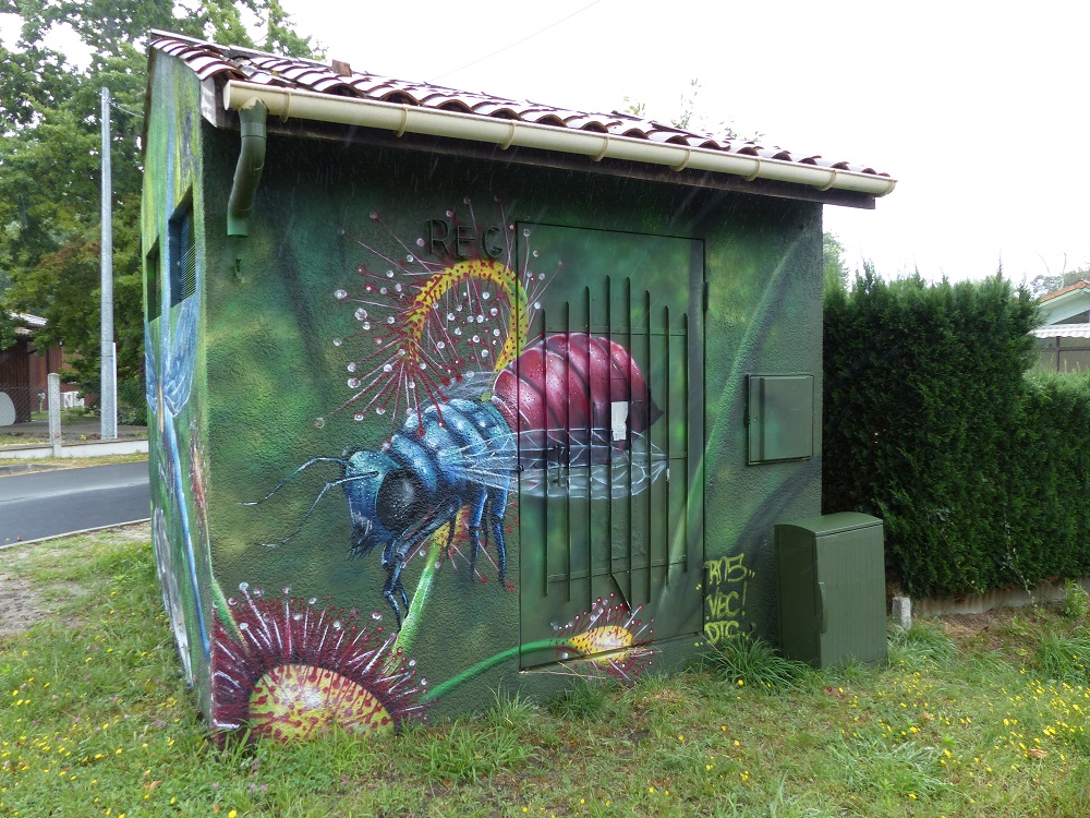 Sur les Pistes de Robin : Street-art et nature