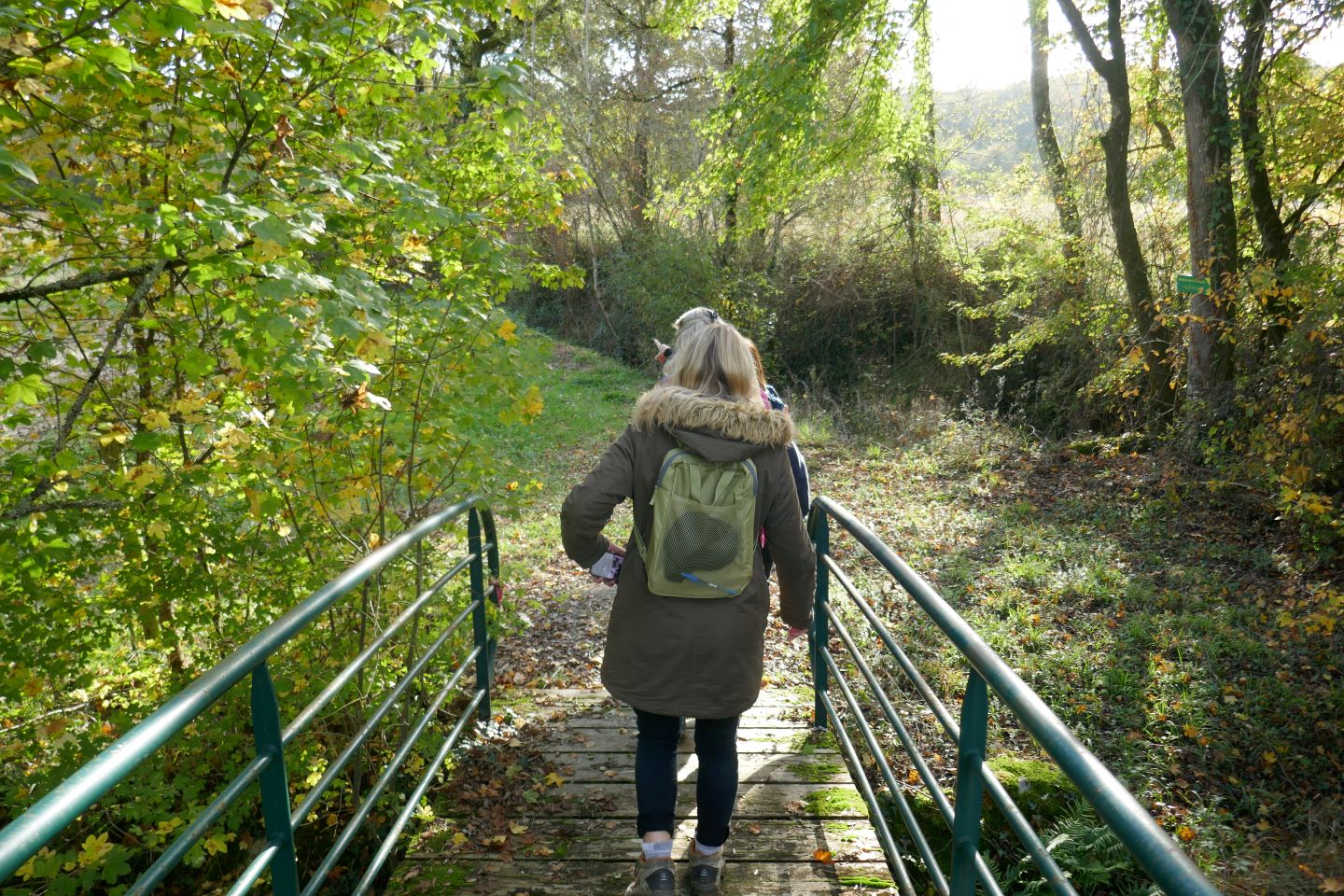 Montagut : le Luy de France