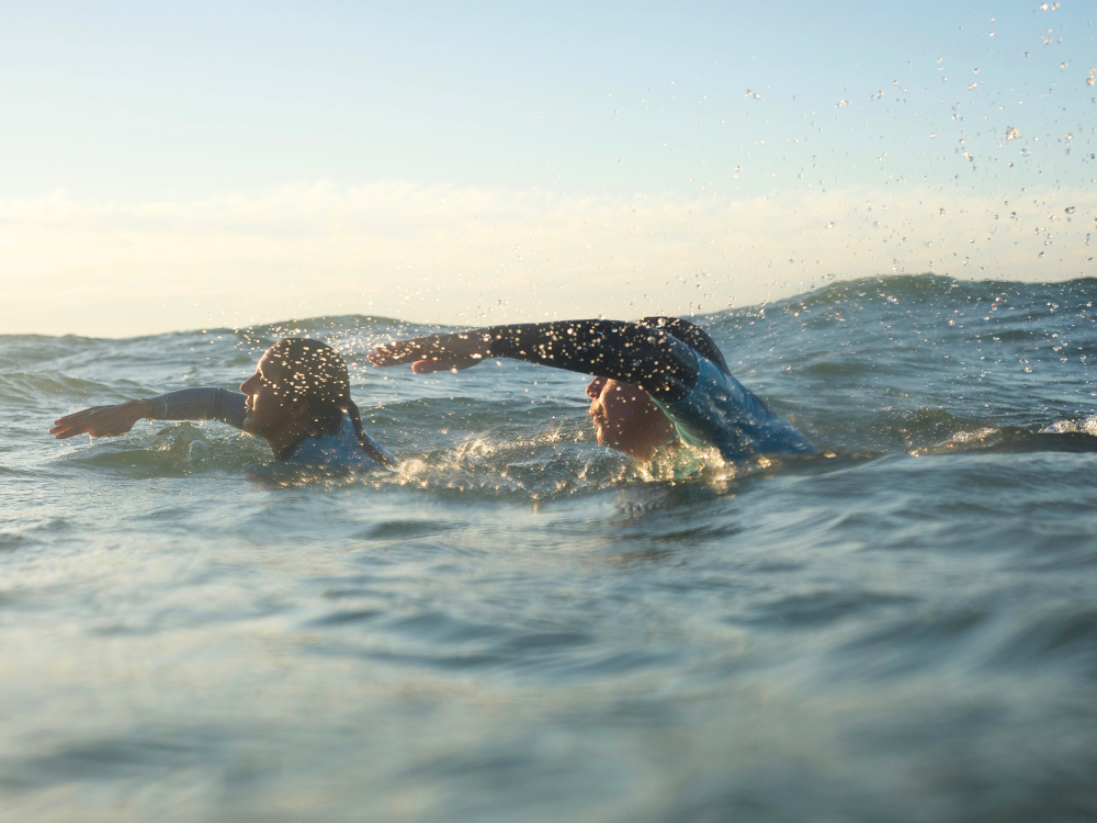 Apprivoiser l'océan, Seignosse
